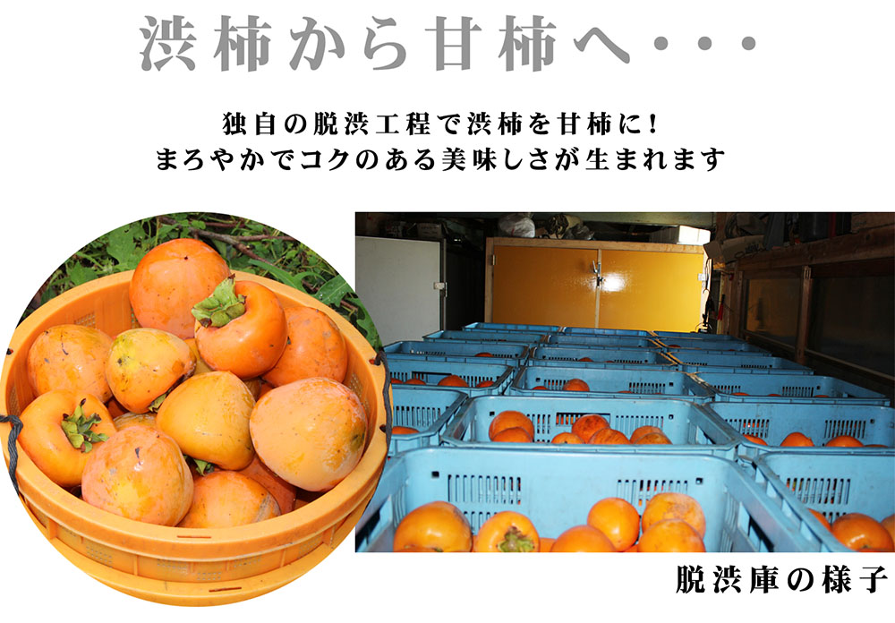 愛媛県産 富士柿（ふじがき）