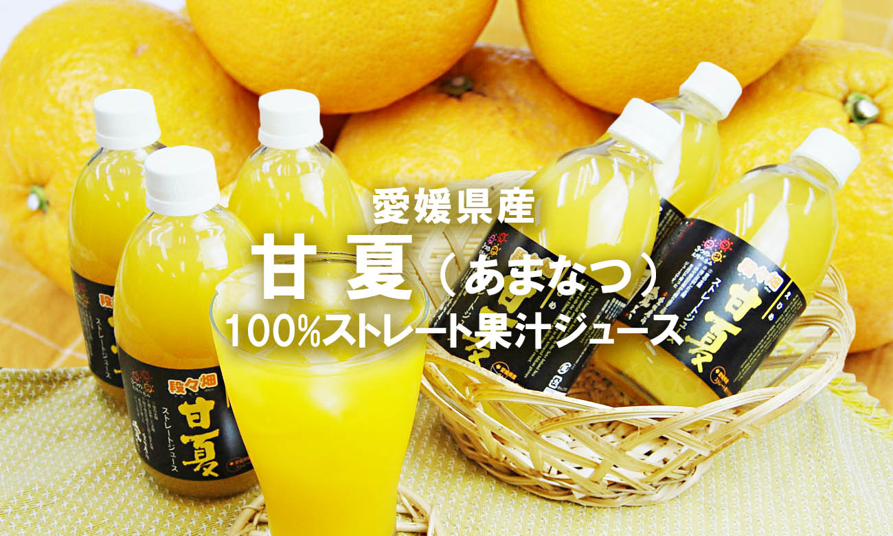 愛媛県産100％果汁 甘夏（あまなつ）ストレートジュース