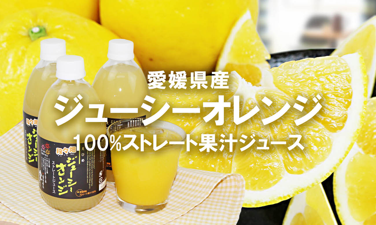 愛媛県産100％ デコポン 果汁ストレートジュース