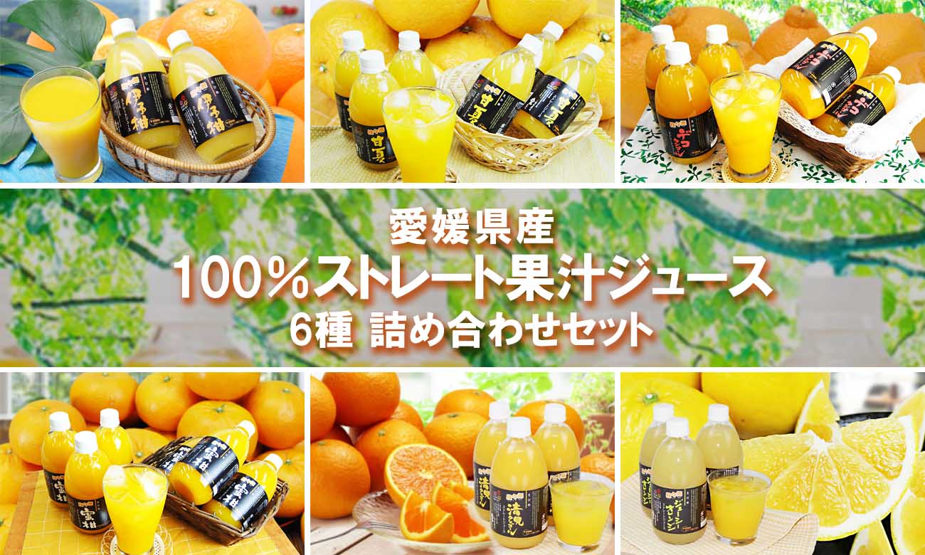 愛媛県産100％ 果汁ストレートジュース 詰め合わせセット