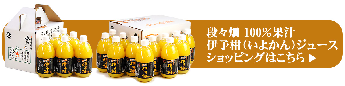 愛媛県産100％蜜柑　伊予柑（いよかん）　果汁ストレートジュース