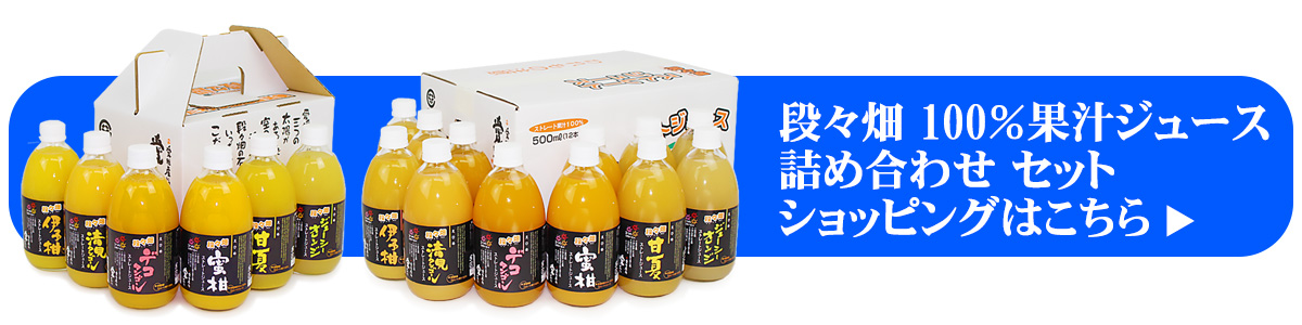 愛媛県産100％蜜柑　果汁ストレートジュース　詰め合わせセット