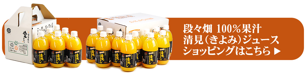 愛媛県産100％清見（きよみ）果汁ストレートジュース