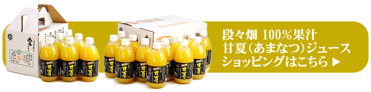 愛媛県産100％甘夏（あまなつ）果汁ストレートジュース