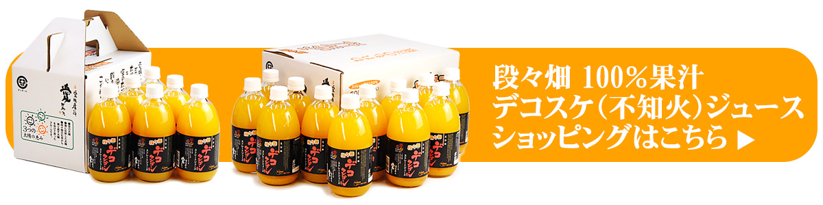 愛媛県産100％蜜柑　デコポン　果汁ストレートジュース