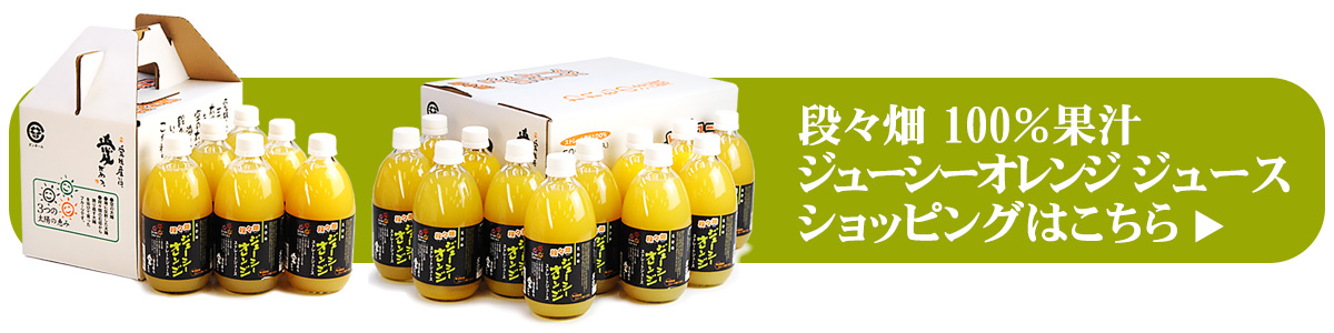 愛媛県産100％蜜柑　ジューシーオレンジ　果汁ストレートジュース