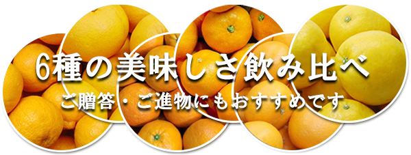 愛媛県産100％ 果汁ストレートジュース　詰め合わせセット